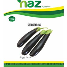 Naz Tohum Patlıcan Tohumu -KEMER-NAZ-250 gr