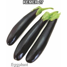 Naz Tohum Patlıcan Tohumu -KEMER-NAZ-250 gr