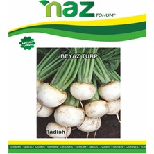 Karbonsoft Turp Tohumu -Iri Beyaz- 5 gr