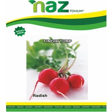 Karbonsoft Turp Tohumu -Kırmızı Fındık (Cherry Belle)-25 gr