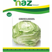 Karbonsoft Lahana Tohumu -Yalova 1- 25 gr
