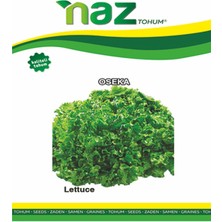 Karbonsoft Marul Tohumu -Oseka (Olenka)-Naz-10 gr