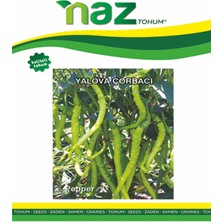 Karbonsoft Biber Tohumu -Yalova Çorbacı-Naz-10 gr