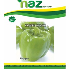 Karbonsoft Biber Tohumu -Kandil -Naz-25 gr