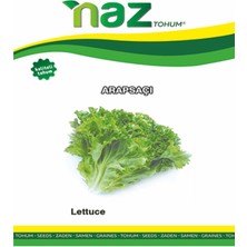 Karbonsoft Marul Tohumu -Arapşaçı-Naz-25 gr