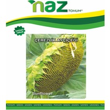 Karbonsoft Çerezlik Ayçiçeği Tohumu-10 gr