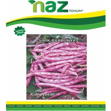 Karbonsoft Barbunya Tohumu -Heka (Sırık)-Naz-50 gr