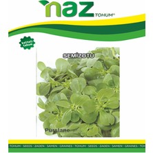 Karbonsoft Semizotu Tohumu -Sedef-Naz-5 gr