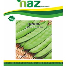 Karbonsoft Fasülye Tohumu -Esmekız (Sarıkız Narin)-Naz-50 gr