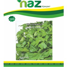 Karbonsoft Maydanoz Tohumu -D'giant Italian-Naz-25 gr
