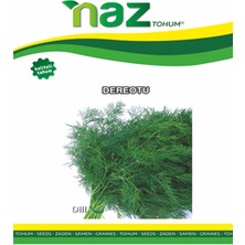 Karbonsoft Dereotu Tohumu -Lagün Ithal-Naz-25 gr