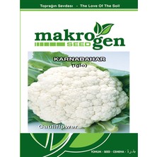 Karbonsoft Karnabahar Tohumu-Makrogen-25 gr