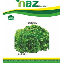 Karbonsoft Marul Tohumu - (Kıvırcık Marul)-5 gr