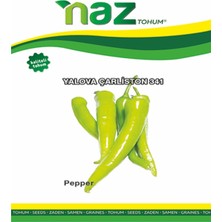 Karbonsoft Biber Tohumu -Yalova Çarliston 341-NAZ-10 gr