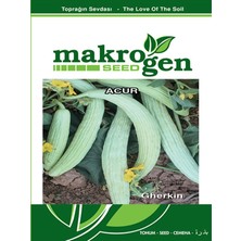Karbonsoft Acur Tohumu -Aykız-Makrogen-25 gr