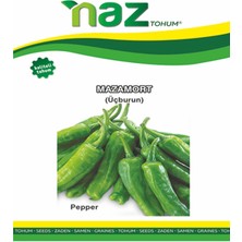 Karbonsoft Biber Tohumu -Karya ( Üç Burun )-5 gr