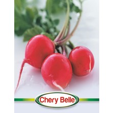 Karbonsoft Turp Tohumu -Cherry Belle-Makrogen-10 gr