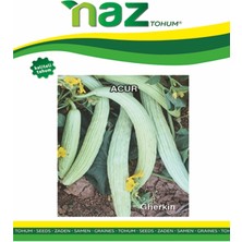 Karbonsoft Acur Tohumu -Aykız-10 gr