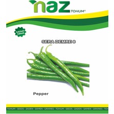 Karbonsoft Biber Tohumu -Sera Demre 08-5 gr
