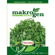 Karbonsoft Maydonoz Tohumu -D'giant Italina-Makrogen-10 gr