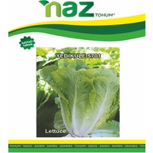 Karbonsoft Marul Tohumu -Yedikule 5701-5 gr