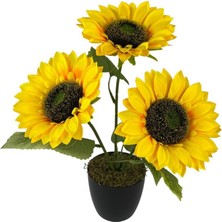 Nettenevime Yapay Çiçek Siyah Saksıda Ay Çiçeği 3kafa 38CM