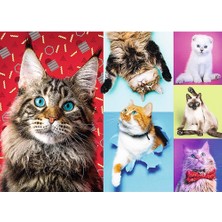 Trefl Puzzle Puzzle Happy Cats 1000 Parça