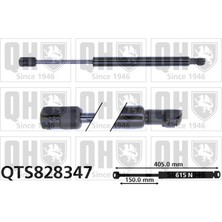 BSG Renault Duster Duster Panelvan Van 2010 Bagaj Amortisörü (Oem NO:904520004R)