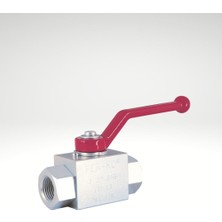 Fer-Ro Bv2 Serisi 1-1/2” Bsp Hidrolik 2-Yollu Küresel Vana