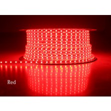Tawitec Hortum LED 220 Volt Su Geçirmez Fiş Dahil Metrede 120 LED 10 Metre