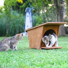 Mandu Ahşap Mini Kedi Evi (Yeni Doğan Evi)