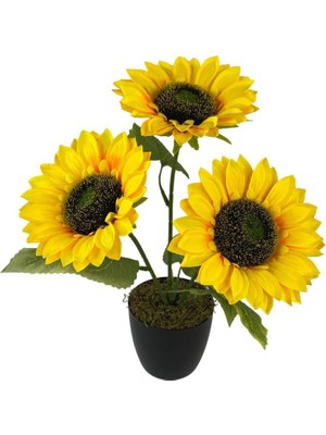 Nettenevime Yapay Çiçek Siyah Saksıda Ay Çiçeği 3kafa 38CM