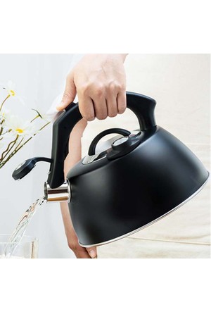 Modern Tea Pot Loud Whistling Stainless Steel Tea Kettle 2.5L Large  Capacity for Gas Electric Camping Tea Coffee Kitchen - AliExpress