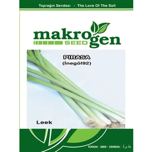 Pırasa Tohumu -Inegöl-Makrogen-10 gr