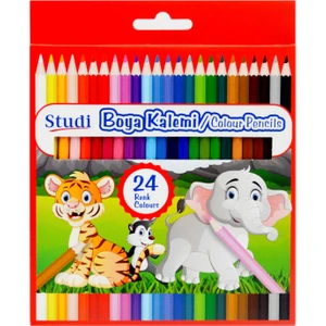 24 Renk Kuru Boya Kalemi