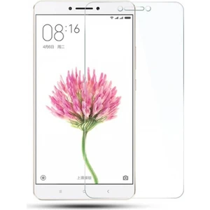 Xiaomi Mi Max Nano Kırılmaz Cam Ekran Koruyucu