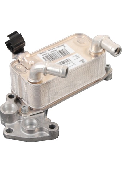 Passat B6 6 Ileri Dsg Motor Yağ Soğutucusu 2005-2011 3C0317037B