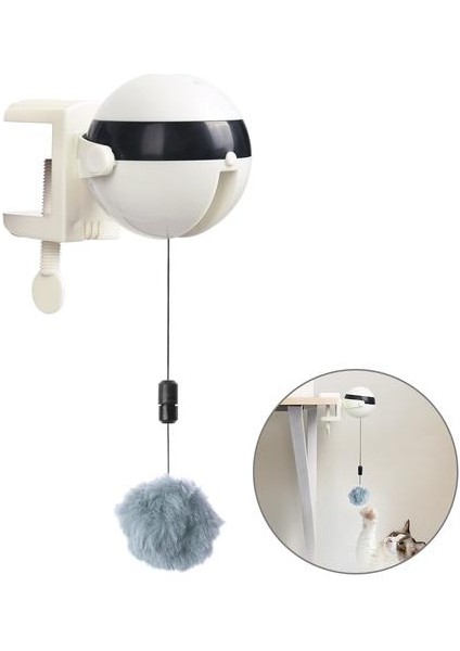 Pet Aktivite Oyuncak (Yurt Dışından)