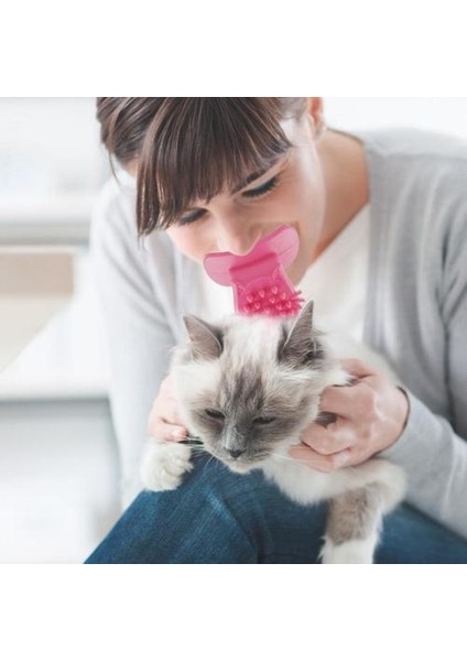 Kedi Fırça Tarak (Yurt Dışından)