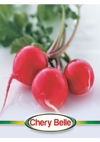 Turp Tohumu -Cherry Belle-Makrogen-10 gr