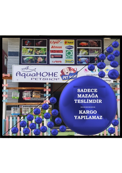 Karışık Akvaryum Küp Çeşitleri 12-16 cm fiyatları