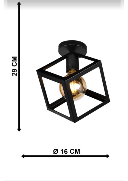 Veda Light Küp Tekli Siyah Model Tavan Modern Avize