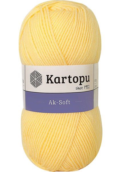 Ak-Soft 309 El Örgü Ipi 100 Gr.