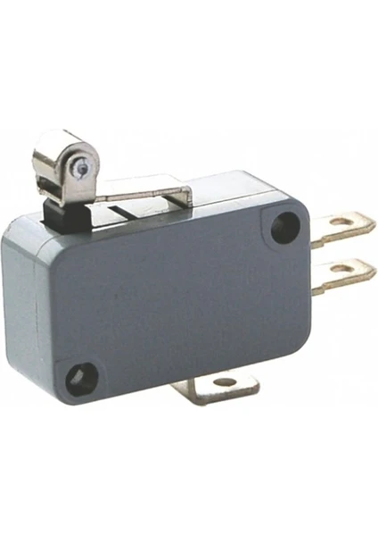 IC-172 Micro Switch Kısa Makaralı