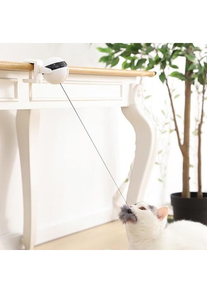 Elektronik Hareket Kedi Oyuncak Kedi Teaser Oyuncak Yo Yo Kaldırma Topu Elektrikli Flutter Dönen Interaktif Bulmaca Akıllı Pet Kedi Topu Oyuncak Kedi Oyuncakları (Yurt Dışından)