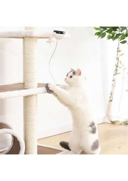 Elektronik Hareket Kedi Oyuncak Kedi Teaser Oyuncak Yo Yo Kaldırma Topu Elektrikli Flutter Dönen Interaktif Bulmaca Akıllı Pet Kedi Topu Oyuncak Kedi Oyuncakları (Yurt Dışından)