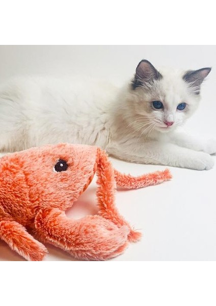 Elektronik Kedi Oyuncak USB Şarj Simülasyonu Için Lobste Oyuncaklar Köpek Kedi Çiğneme Oynama Isırma Oyuncak Kedi Wagging Oyuncak Diş Temizleyici Kedi Oyuncakları (Yurt Dışından)