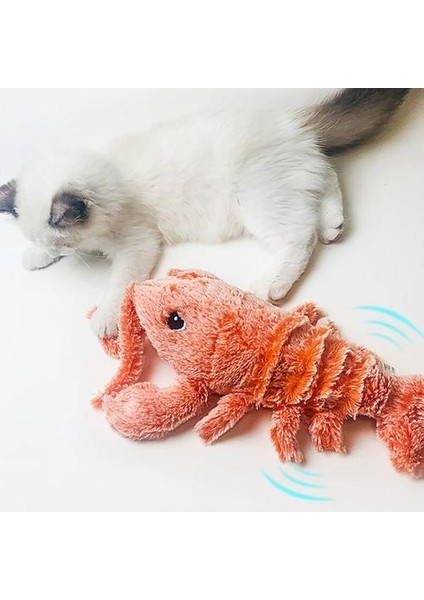 Elektronik Kedi Oyuncak USB Şarj Simülasyonu Için Lobste Oyuncaklar Köpek Kedi Çiğneme Oynama Isırma Oyuncak Kedi Wagging Oyuncak Diş Temizleyici Kedi Oyuncakları (Yurt Dışından)