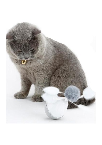 Pet Hareketli Oyuncak Akıllı Elektronik Tumbler Topu Interaktif Kedi Oyuncak Chaser Kittens Entertainment Egzersiz Kedi Oyuncakları (Yurt Dışından) modelleri