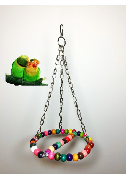 Zincirli Muhabbet Kuşu Salıncağı